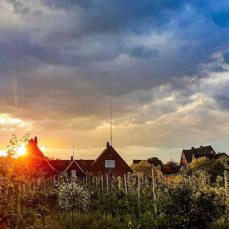 Ferienwohnung Bluetenblick Bachenbrock Dış mekan fotoğraf