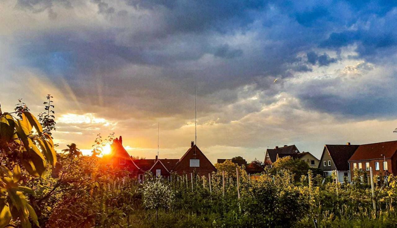 Ferienwohnung Bluetenblick Bachenbrock Dış mekan fotoğraf